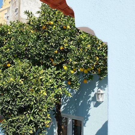 Proa D'Alfama Guest House Lisboa Ngoại thất bức ảnh