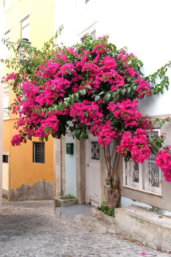 Proa D'Alfama Guest House Lisboa Ngoại thất bức ảnh