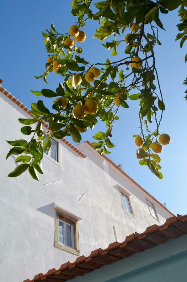 Proa D'Alfama Guest House Lisboa Ngoại thất bức ảnh